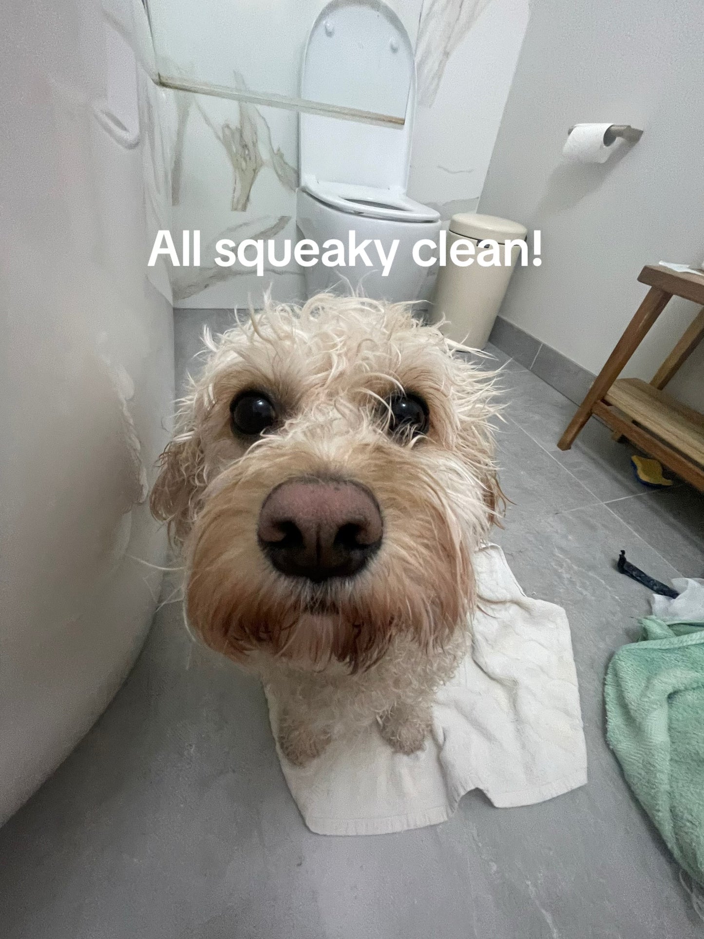 Buddycare Shampoo & Conditioner Vanilla & Shea Butter 500ml Bundle