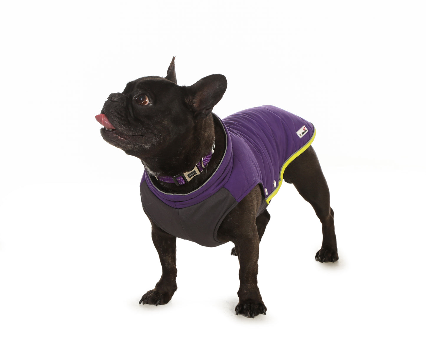 Doodlebone® Puffer Jacket