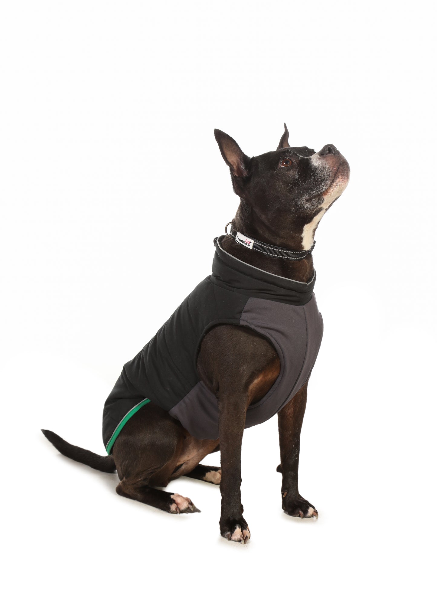 Doodlebone® Puffer Jacket