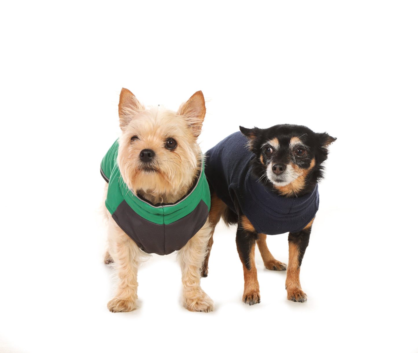 Doodlebone® Puffer Jacket
