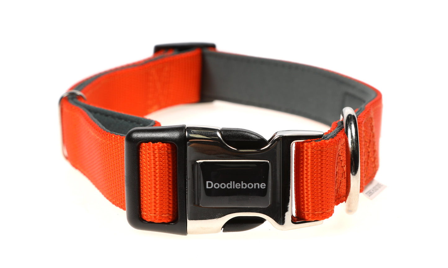 Doodlebone® Padded Collar