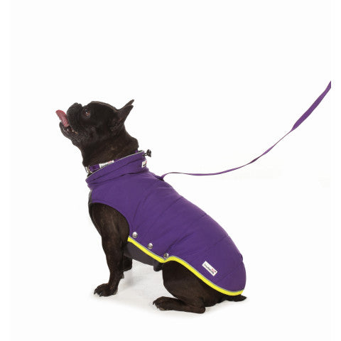 Doodlebone® Puffer Jacket