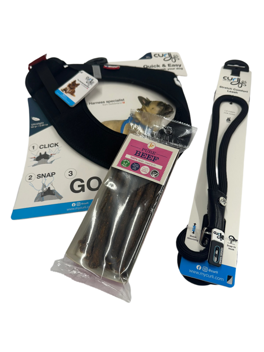 Christmas Curli Harness & Stretch Comfort Lead Bundle