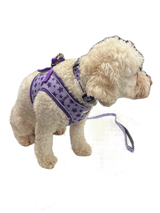 ❤️Harness The Love❤️ - Valentines Violet Stars Doodlebone® Snappy Harness, Lead and FREE Collar Bundle