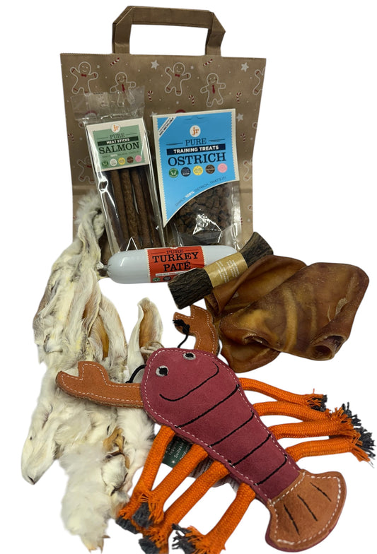 Snoopy's Santa Paws Snack Pack