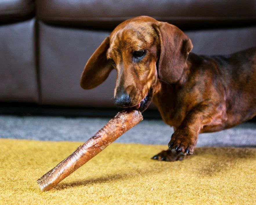 JR Pure Ostrich Straws Pack of 4